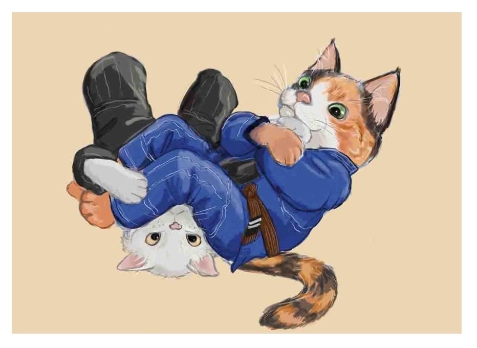 Jiu-jitsu