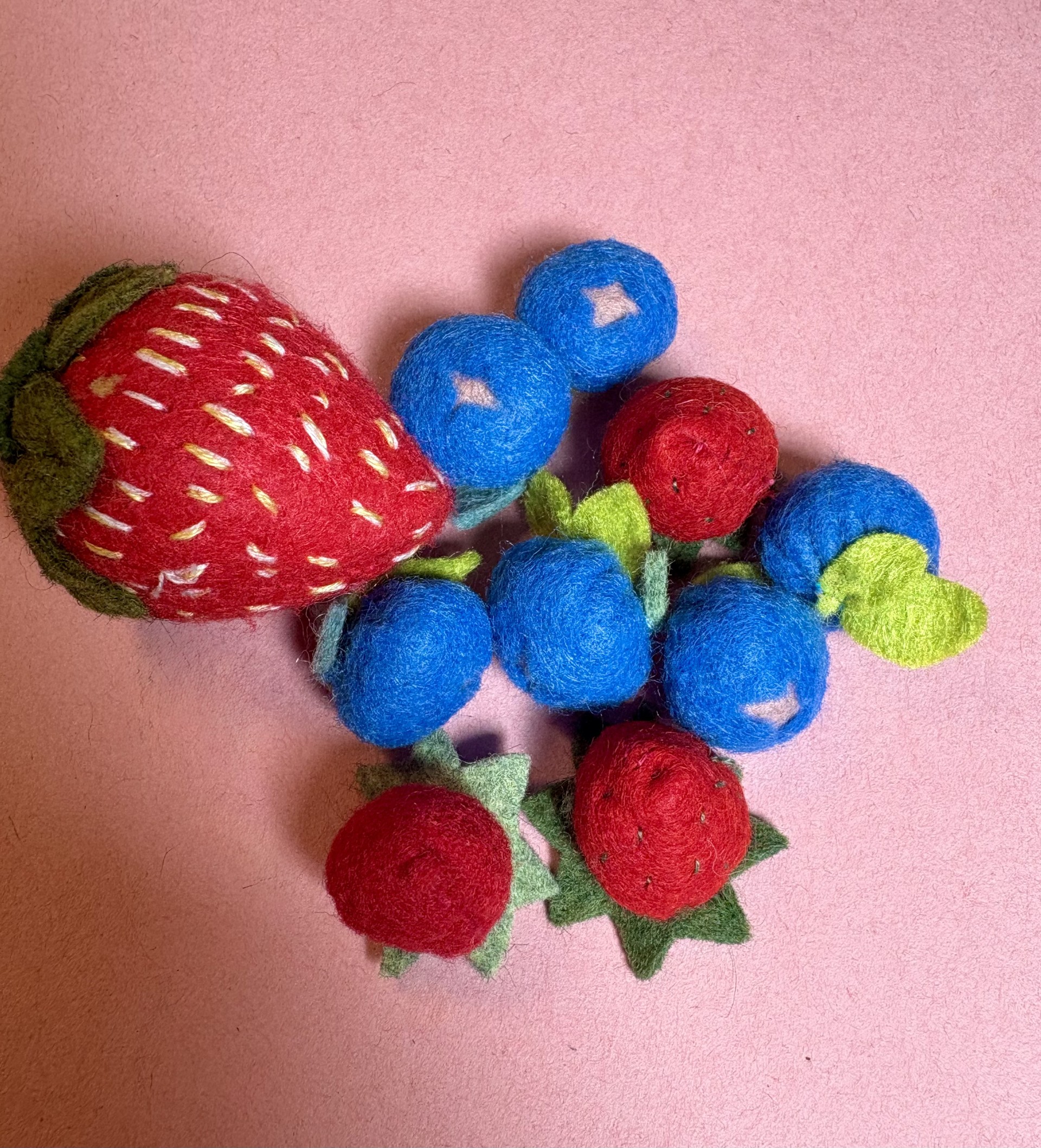 WIld Berries Sewing